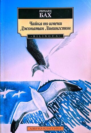 Чайка по имени Джонатан Ливингстон